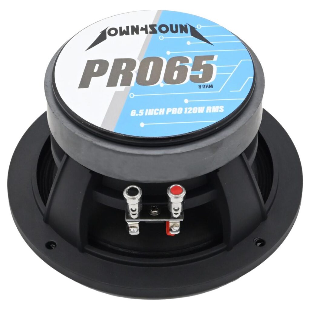 down4sound-down4sound-d4s-pro658-6.5-pro-audio-driver-120w-rms-8-ohm-high-performance-midrange-speaker__24500.jpg