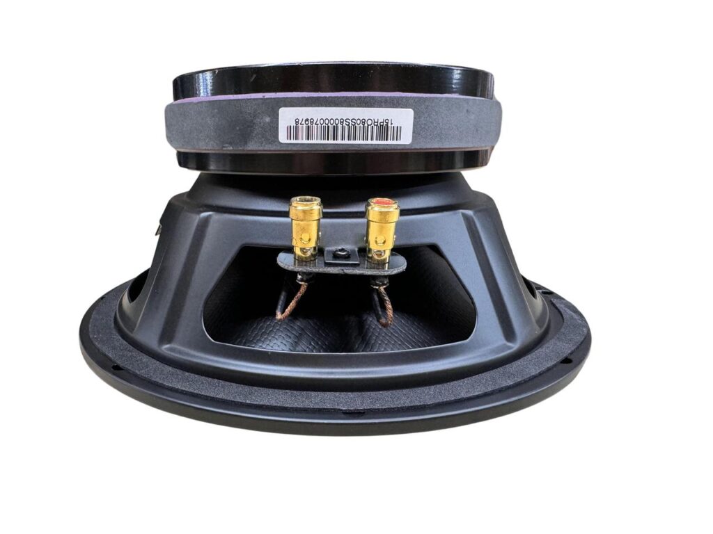 down4sound-hexicone-pro-6.5-ss8-all-szn-6.5-carbon-fiber-pro-audio-speaker-200w-rms-8-ohm__58547.jpg