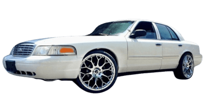 Crown-Victoria-cat